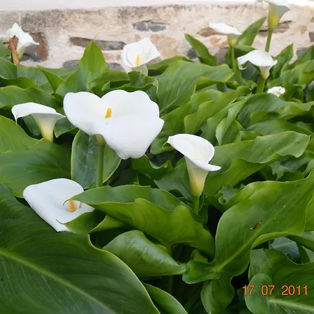 Thor Freyjas Of Poseidonia Syros House Feriehus Posidhonía