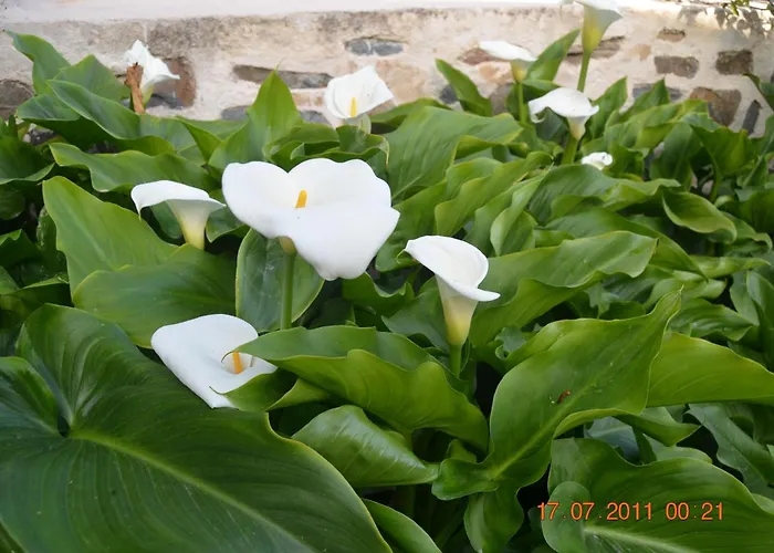 Thor Freyjas Of Poseidonia Syros House Casa de Férias Posidhonía